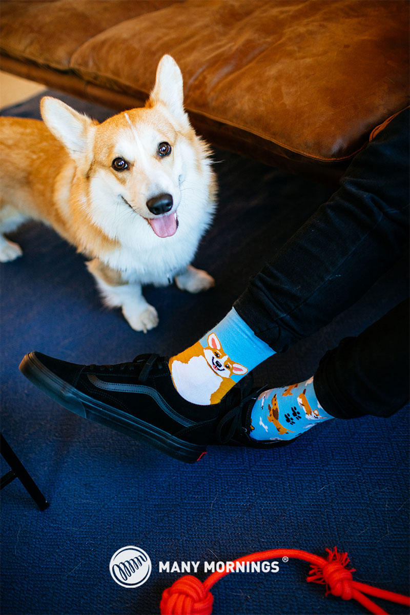 Barevné ponožky Playful Dog - Many Mornings-1