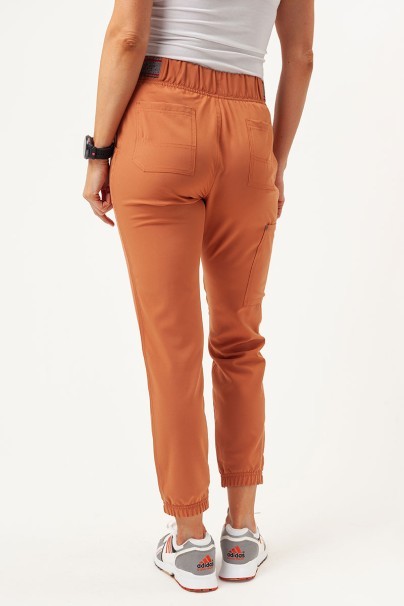 Dámské lékařské kalhoty Dickies EDS NXT Mid Rise jogger hnědé-2