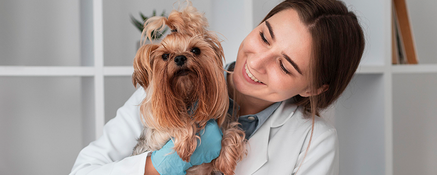 Co se nosí v moderní veterinární ordinaci?