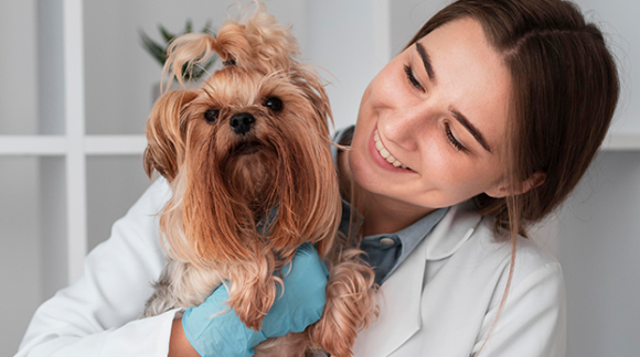 Co se nosí v moderní veterinární ordinaci?